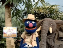 Junglephoto