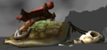 Nagaturtle.jpg
