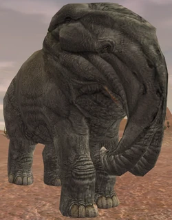 Snorbal