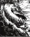 Karran-closeup.jpg