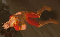Image of Apprentice Varnis