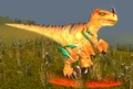 HighlandStrider.jpg