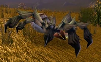 PlainsCreeper