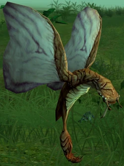 Flewt.png