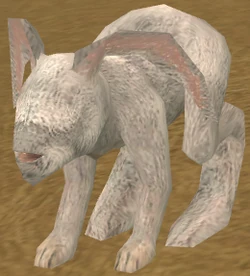 Durni