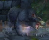 Amani Bear Spirit