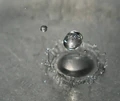 Drop2.jpg