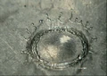 Drop4.jpg