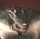 WarwolfLtPortrait1.jpg