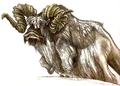 Bantha bull.jpg