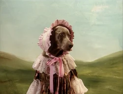 BattyBoPeep3