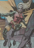 Robin IV 1
