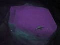 Forgotten Pool.jpg