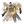 Cadaver Immolation