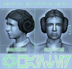 Leiawanted