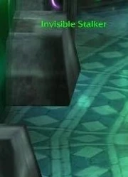 Invisible stalker