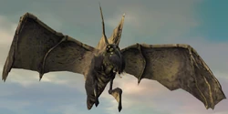 Borgle
