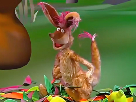 Juniorkangaroo