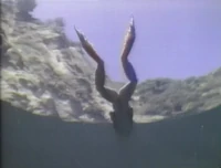 Song.FrogKick.jpg