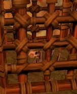 Bones in cage