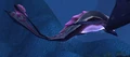 "Count" Ungula.jpg