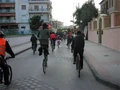 Podilatoporeia 30 3 07 3.jpg