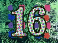 16flowers