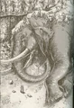 Ancientbehemoth.jpg
