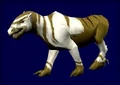 ChokuMale.jpg
