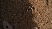 180px-2X05-AndFound