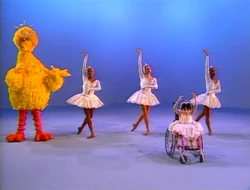 5birds