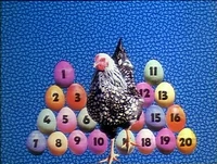 20Eggs