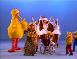 Flockofbirds