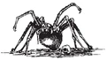 SpiderW1.JPG