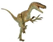 Utahraptor1140456670