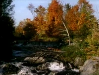 Film.Falltowinter.jpg