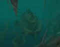 Juggernaught top-view.jpg