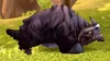 Clefthoof