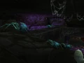 Skitterweb Tunnels.jpg