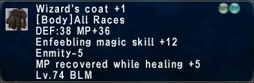 Wizard's Coat +1