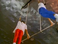 Film.CircusTraining.jpg