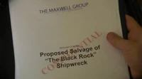 Maxwell brief