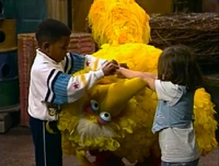 2448e.jpg
