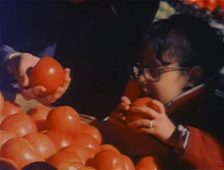 Blindclass.produce