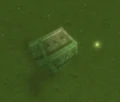 Captain's Footlocker.jpg