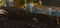 Loose Dirt.jpg