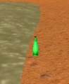 Half-Buried Bottle.jpg