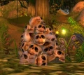 Ziata'jai Trophy Skulls.jpg