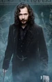 SiriusBlackTree.jpg