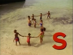 S-Splash!